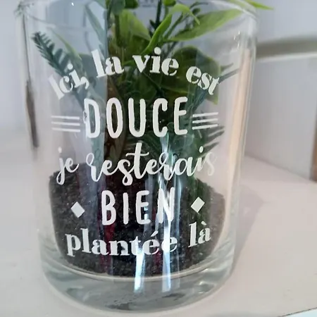 Smart Casa + Terrasse Parking Gratuit 24/24 *